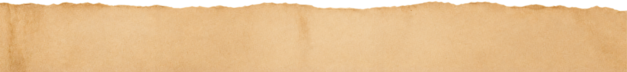 stogies-paper-background